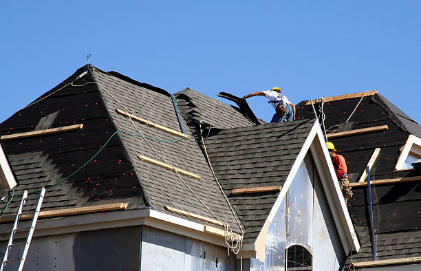 Best Roof Gutter Cleaning  in Washburn, ND