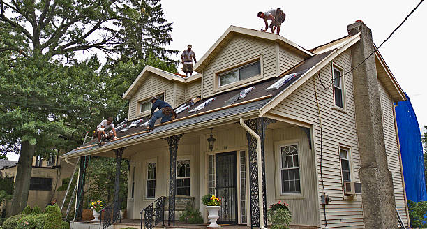Best Roofing Contractor Near Me  in Washburn, ND